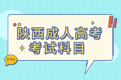 陜西成人高考考試科目