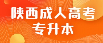 陜西成人高考專升本