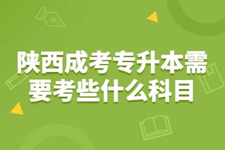 陜西成考