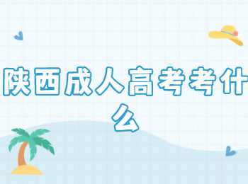 陜西成人高考
