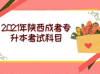 陜西成考專升本