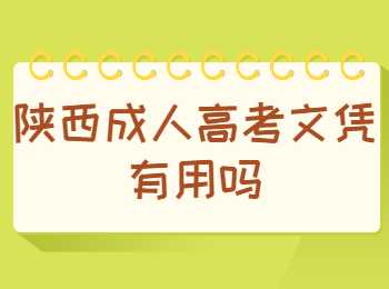 陜西成人高考