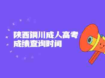 陜西銅川成人高考成績查詢時間