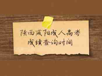 陜西咸陽成人高考成績查詢時間