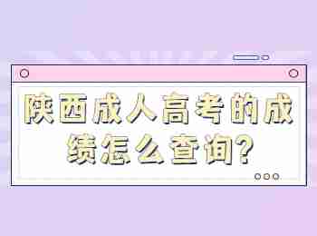 陜西成人高考的成績怎么查詢?