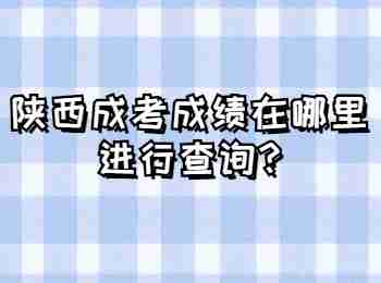 陜西成考成績在哪里進行查詢
