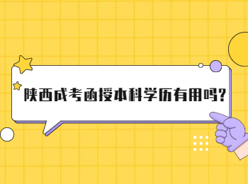 陜西成考函授本科學歷有用嗎?