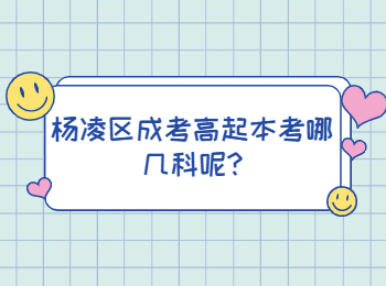 楊凌區成考高起本考哪幾科呢