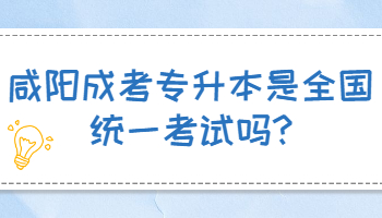 咸陽成考專升本是全國統一考試嗎
