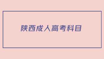 陜西成人高考科目