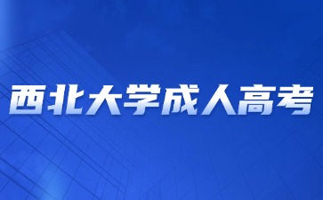 2024年西北大學(xué)成考學(xué)位英語怎么復(fù)習(xí)