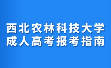 2024年西北農林科技大學成人高考報考指南