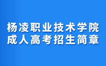 2024年楊凌職業技術學院成人高考招生簡章