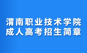 2024年渭南職業(yè)技術(shù)學(xué)院成人高考招生簡(jiǎn)章